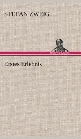 Libro Erstes Erlebnis Stefan Zweig