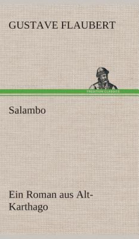 Book Salambo Ein Roman aus Alt-Karthago Gustave Flaubert