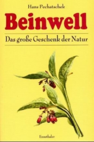 Könyv Beinwell Hans Pechatschek