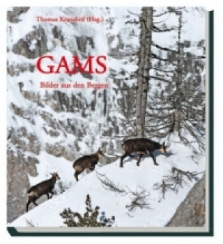 Buch Gams Thomas Kranabitl