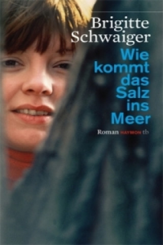 Buch Wie kommt das Salz ins Meer Brigitte Schwaiger