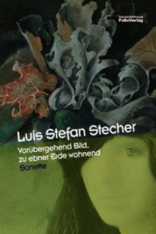 Buch Vorübergehend Bild, zu ebner Erde wohnend Luis St. Stecher