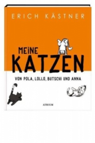 Książka Meine Katzen Erich Kästner