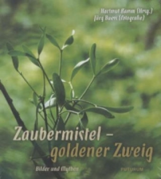 Kniha Zaubermistel - goldener Zweig Hartmut Ramm