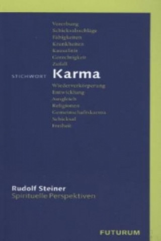 Kniha Stichwort Karma Rudolf Steiner