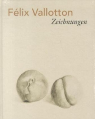 Könyv Felix Vallotton - Zeichnungen Dieter Schwarz