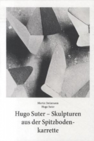 Kniha Hugo Suter - Skulpturen Aus Der Spitzbodenkarrette Hugo Suter