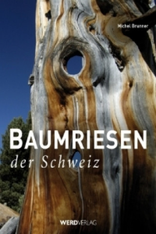 Książka Baumriesen der Schweiz Michel Brunner