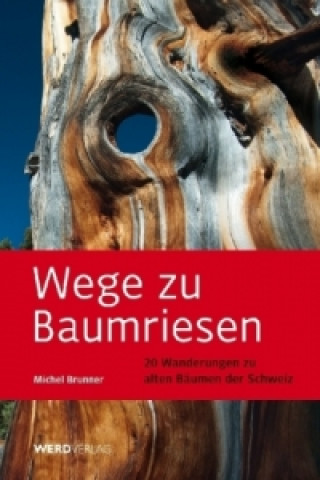 Kniha Wege zu Baumriesen Michel Brunner