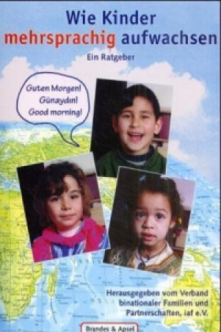 Kniha Wie Kinder mehrsprachig aufwachsen Elke Burkhardt Montanari