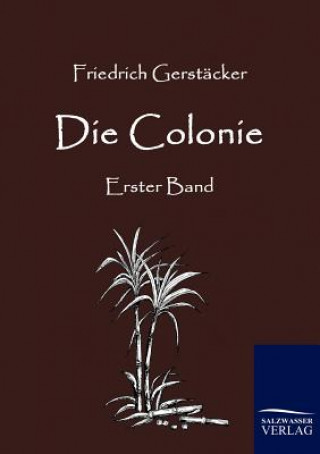 Buch Colonie Friedrich Gerstäcker