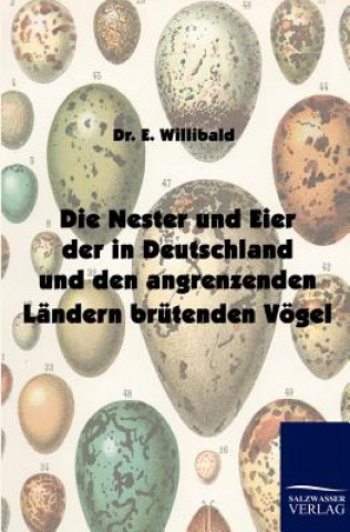 Knjiga Nester und Eier der in Deutschland und den angrenzenden Landern brutenden Voegel E. Willibald