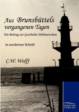 Buch Aus Brunsbuttels vergangenen Tagen C. W. Wolff