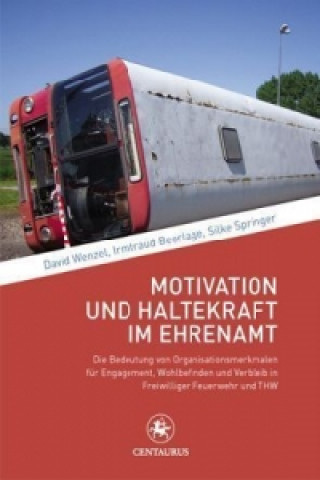 Book Motivation und Haltekraft im Ehrenamt David Wenzel