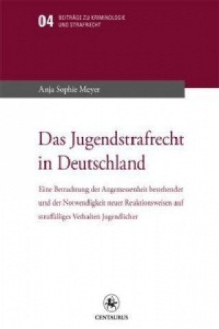 Libro Das Jugendstrafrecht in Deutschland Anja S. Meyer