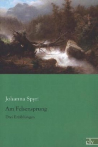 Könyv Am Felsensprung Johanna Spyri
