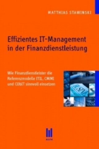 Kniha Effizientes IT-Management in der Finanzdienstleistung Matthias Stawinski