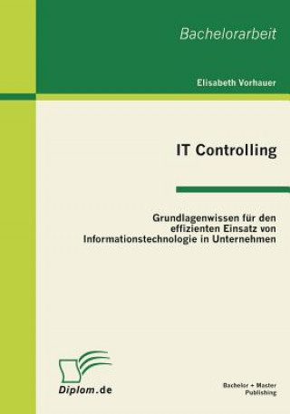 Kniha IT Controlling Elisabeth Vorhauer