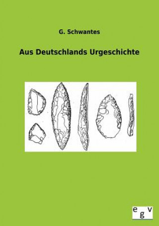 Könyv Aus Deutschlands Urgeschichte G. Schwantes