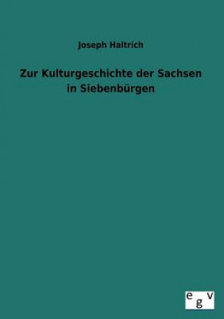 Kniha Zur Kulturgeschichte Der Sachsen in Siebenburgen Joseph Haltrich