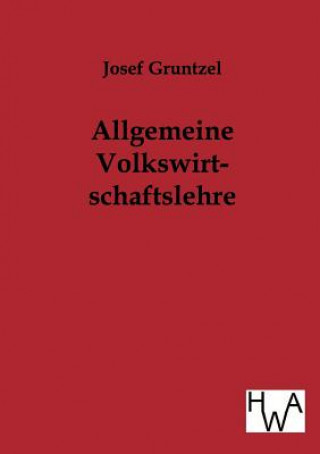 Kniha Allgemeine Volkswirtschaftslehre Josef Gruntzel