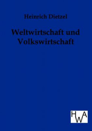 Buch Weltwirtschaft und Volkswirtschaft Heinrich Dietzel