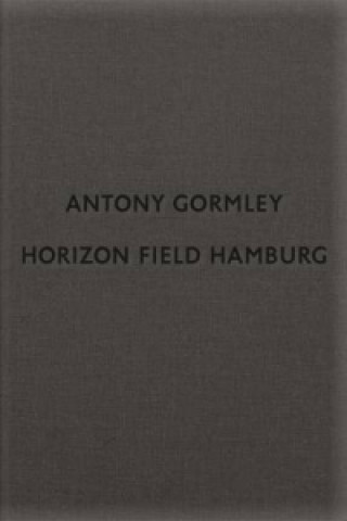 Βιβλίο Antony Gormley: Horizon Field Hamburg Dirk Luckow