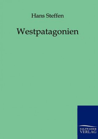 Carte Westpatagonien Hans Steffen