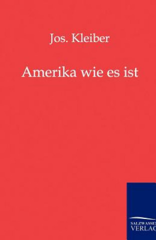 Könyv Amerika Wie Es Ist J. Kleiber