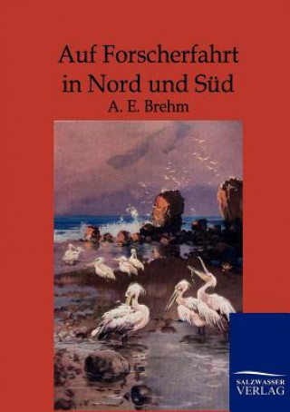 Könyv Auf Forscherfahrt in Nord und Sud A E Brehm