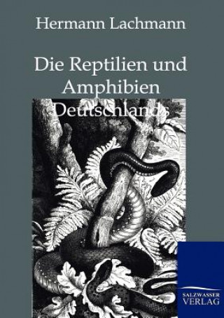 Carte Reptilien Und Amphibien Deutschlands Hermann Lachmann