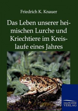 Książka Leben Unserer Heimischen Lurche Und Kriechtiere Im Kreislaufe Eines Jahres Friedrich K. Knauer