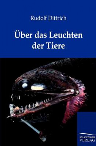 Könyv UEber das Leuchten der Tiere Rudolf Dittrich