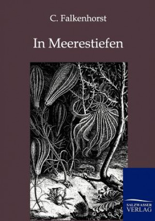 Könyv In Meerestiefen C. Falkenhorst