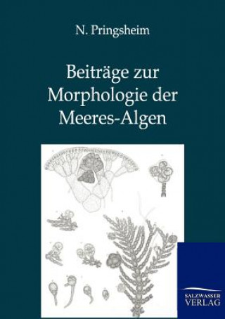 Kniha Beitrage zur Morphologie der Meeres-Algen N. Pringsheim