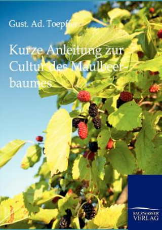 Libro Kurze Anleitung zur Cultur des Maulbeerbaumes Gust  Ad Toepffer