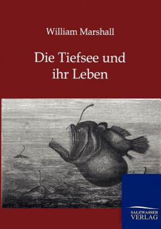 Kniha Tiefsee und ihr Leben William Marshall