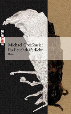 Książka Im Leuchtkaferlicht Michael Groißmeier