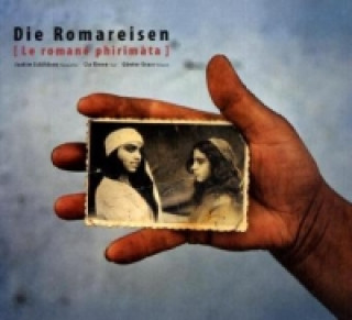 Könyv Die Romareisen, m. Audio-CD Cia Rinne