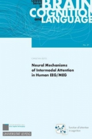 Kniha Neural Mechanisms of Intermodal Attention in Human EEG/MEG 