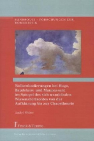 Könyv Wolkenkodierungen bei Hugo, Baudelaire u. Maupassant im Spiegel d. sich wandelnden Wissenshorizontes André Weber