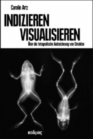 Kniha Indizieren - Visualisieren Carolin Artz