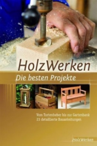 Livre HolzWerken Die besten Projekte 