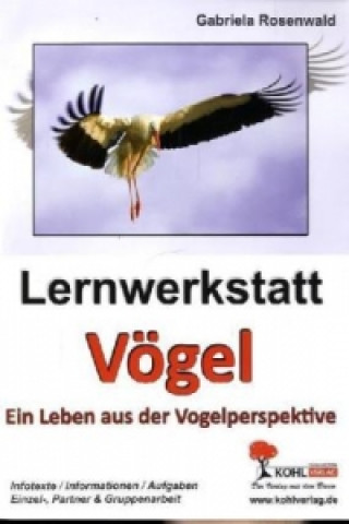 Kniha Lernwerkstatt Vögel Gabriela Rosenwald