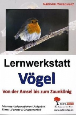 Livre Lernwerkstatt Vögel Gabriela Rosenwald