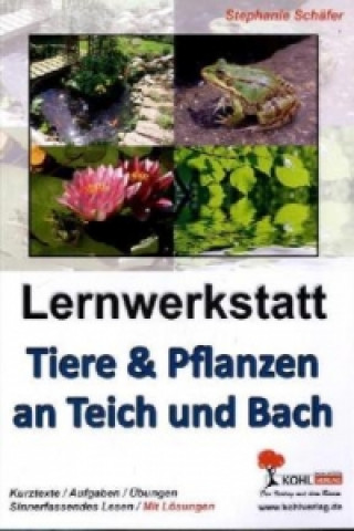 Kniha Lernwerkstatt Tiere & Pflanzen an Teich und Bach Stephanie Schäfer