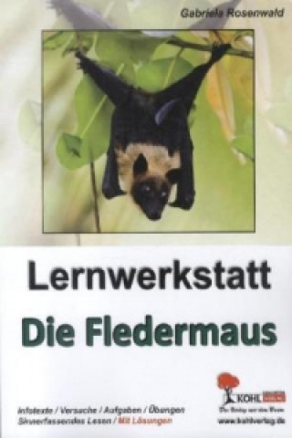 Buch Lernwerkstatt Die Fledermaus Gabriela Rosenwald