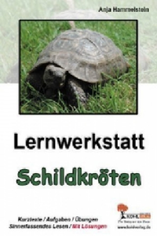 Kniha Lernwerkstatt Schildkröten Anja Hammelstein
