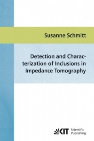 Book Detection and characterization of inclusions in impedance tomography Susanne Schmitt