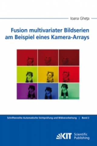 Kniha Fusion multivariater Bildserien am Beispiel eines Kamera-Arrays Ioana Gheta